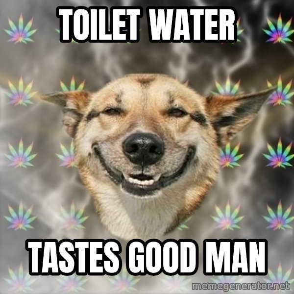 Stoner Dog meme: Toilet water / tastes good man