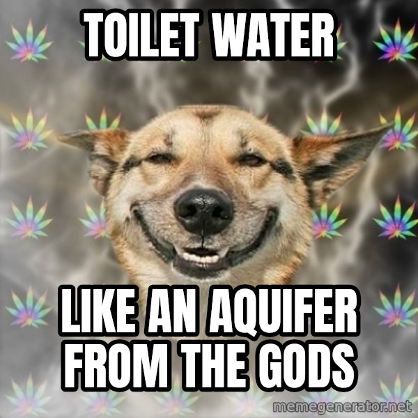 Stoner Dog meme: Toilet water / like an aquifer from the gods