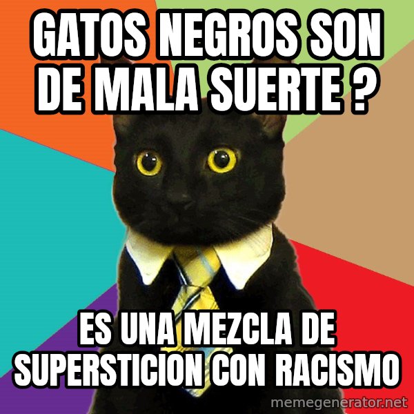 Business Cat meme: gatos negros son de mala suerte ? / es una mezcla de supersticion con racismo