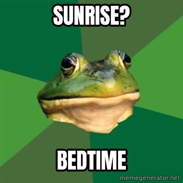 Foul Bachelor Frog meme: Sunrise? / Bedtime