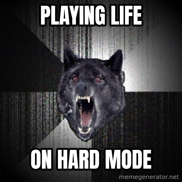 Insanity Wolf meme: Playing life / on hard mode
