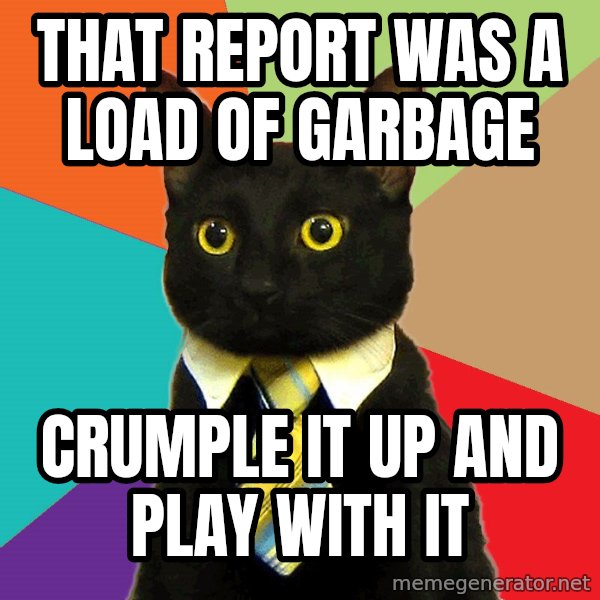 Business Cat meme: That report was a load of garbage / crumple it up and play with it