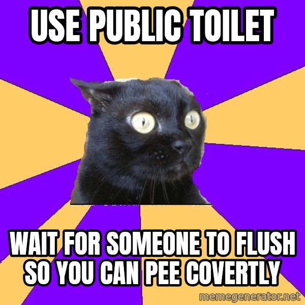 Anxiety Cat meme: USE PUBLIC TOILET / WAIT FOR SOMEone TO FLUSH SO YOU CAN PEE COVERTLY