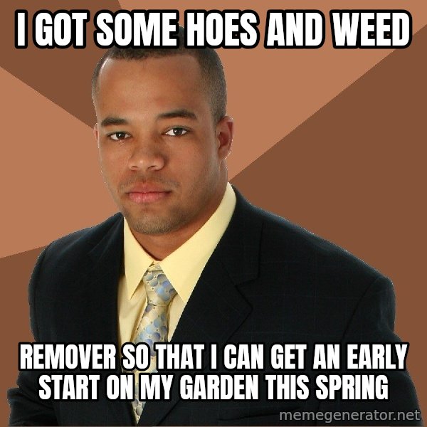 Successful Black Man meme: I got some hoes and weed / remover so that i can get an early start on my garden this  spring