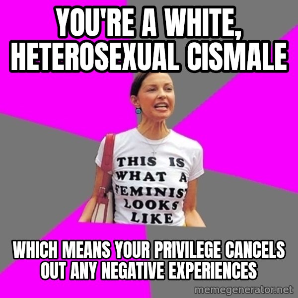 Feminist Cunt meme: you're a white, heterosexual cismale / which means your privilege cancels out any negative experiences