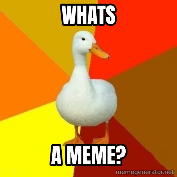 Technologically Impaired Duck meme: WHats / a meme?