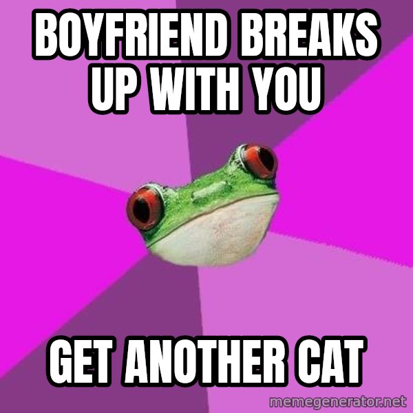 Foul Bachelorette Frog meme: Boyfriend breaks up with you / get another cat