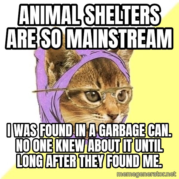 Hipster Kitty meme: animal shelters are so mainstream / i was found in a garbage can. No one knew about it until long after they found me.