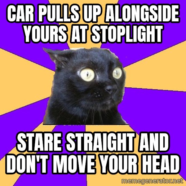 Anxiety Cat meme: Car pulls up alongside yours at stoplight / stare straight and don't move your head