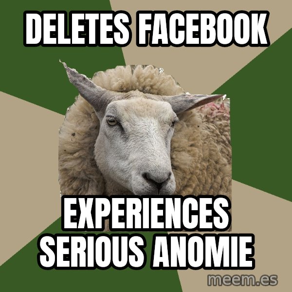 Sociology Student Sheep meme: Deletes Facebook / Experiences serious anomie