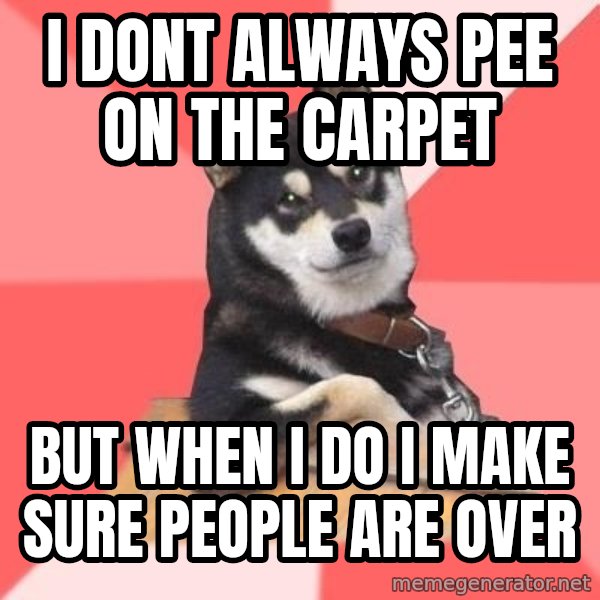 Cool Dog meme: i dont always pee on the carpet / but when i do i make sure people are over