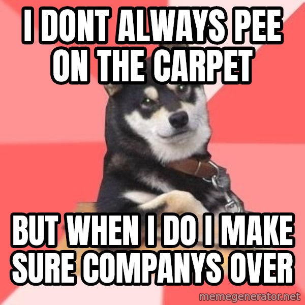 Cool Dog meme: i dont always pee on the carpet / but when i do i make sure companys over