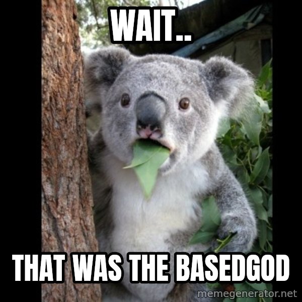 Koala can't believe it meme: wait.. / that was the basedgod