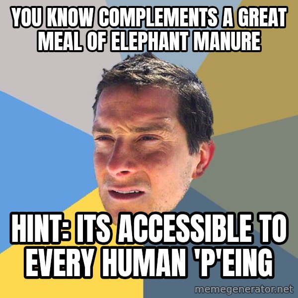 Bear Grylls meme: You know complements a great meal of elephant manure / Hint: Its accessible to every Human 'P'eing