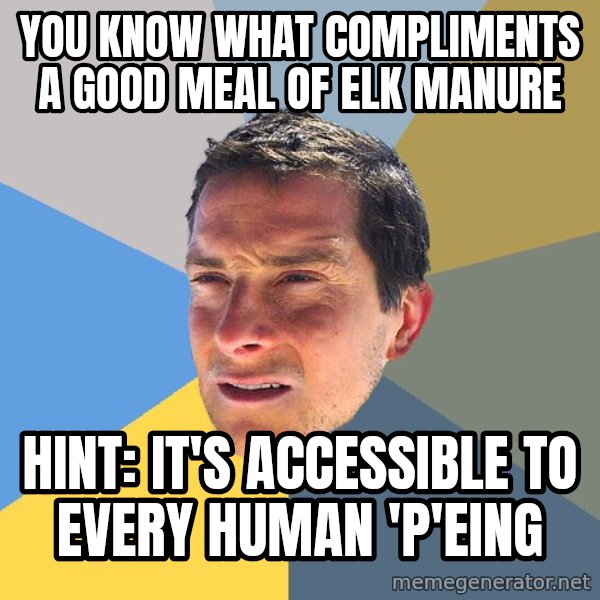 Bear Grylls meme: You know what compliments a good meal of elk manure / Hint: It's ACCESSIBLE to every human 'p'eing