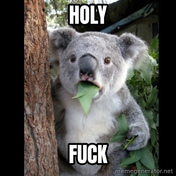 Koala can't believe it meme: holy / fuck