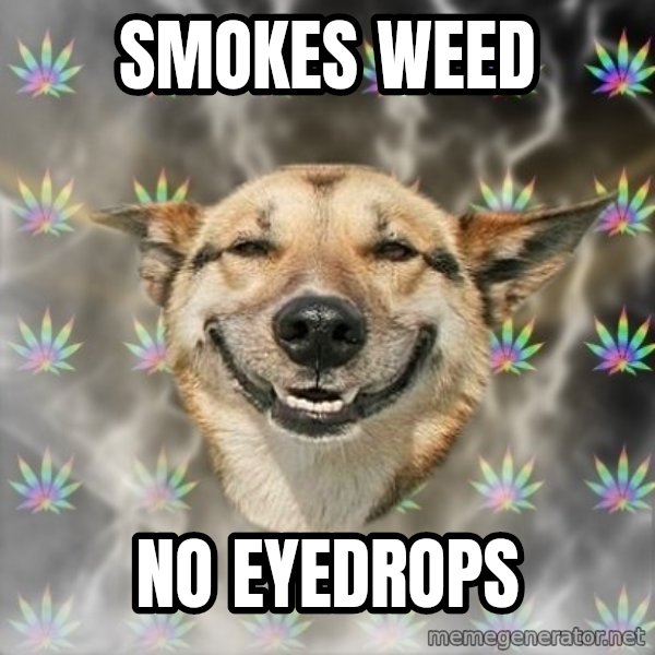 Stoner Dog meme: smokes weed / no eyedrops