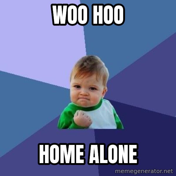Success Kid meme: woo hoo / home alone