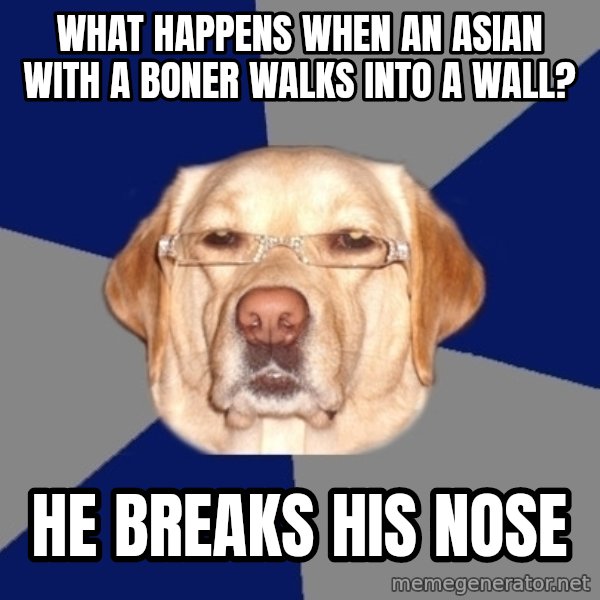 Racist Dog meme: What happens when an asian with a boner walks into a wall? / He breaks his nose