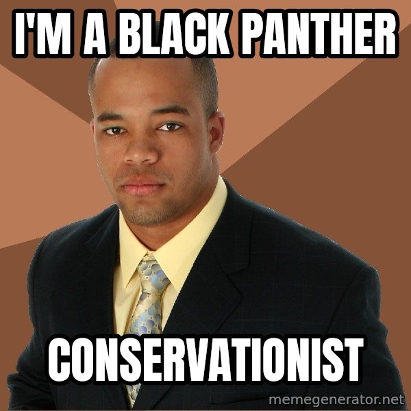 Successful Black Man meme: I'm a black panther / conservationist