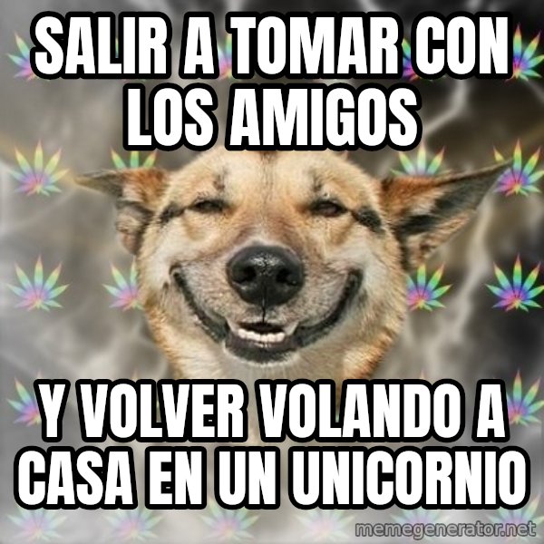 Stoner Dog meme: salir a tomar con los amigos / y volver volando a casa en un unicornio