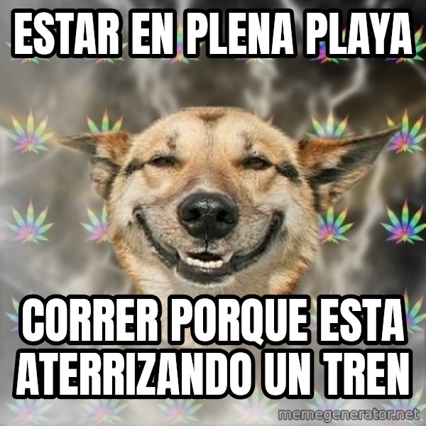 Stoner Dog meme: estar en plena playa / correr porque esta ATERRIZANDO un tren