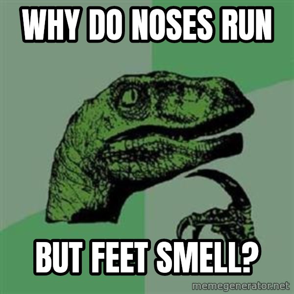 Philosoraptor meme: why do noses run / but feet smell?