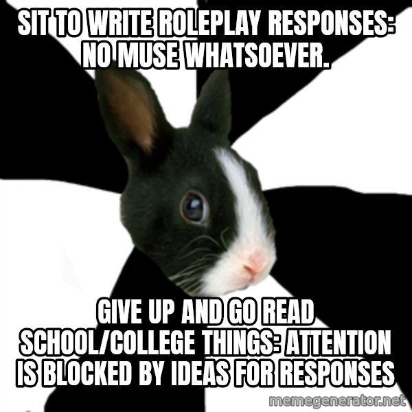 Roleplaying Rabbit meme: sit to write roleplay responses: no muse whatsoever. / give up and go read school/college things: attention is blocked by ideas for responses
