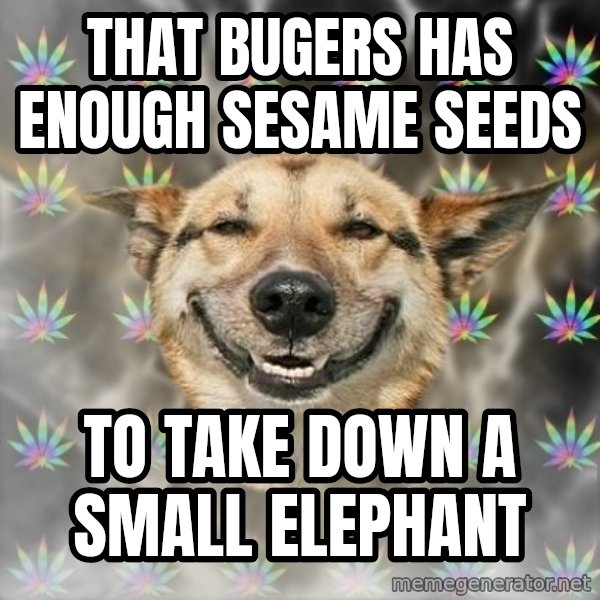 Stoner Dog meme: that bugers has enough sesame seeds / to take down a small elephant