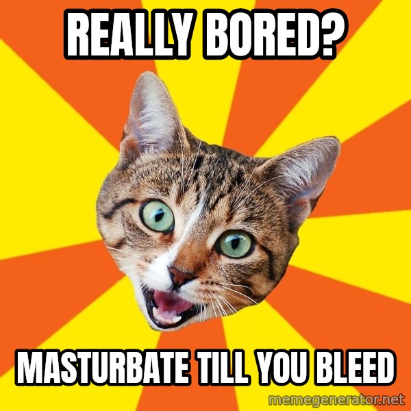 Bad Advice Cat meme: really bored? / masturbate till you bleed