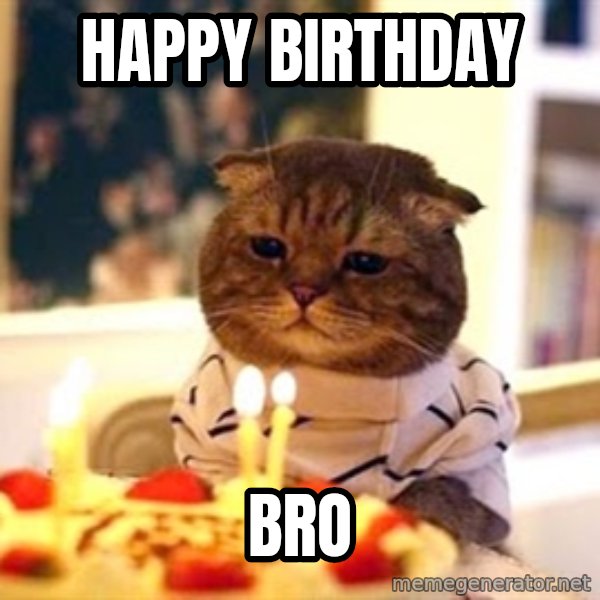 Birthday Cat meme: Happy birthday / bro