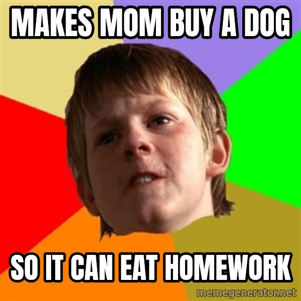 Angry School Boy meme: makes mom buy a dog / so it can eat homework