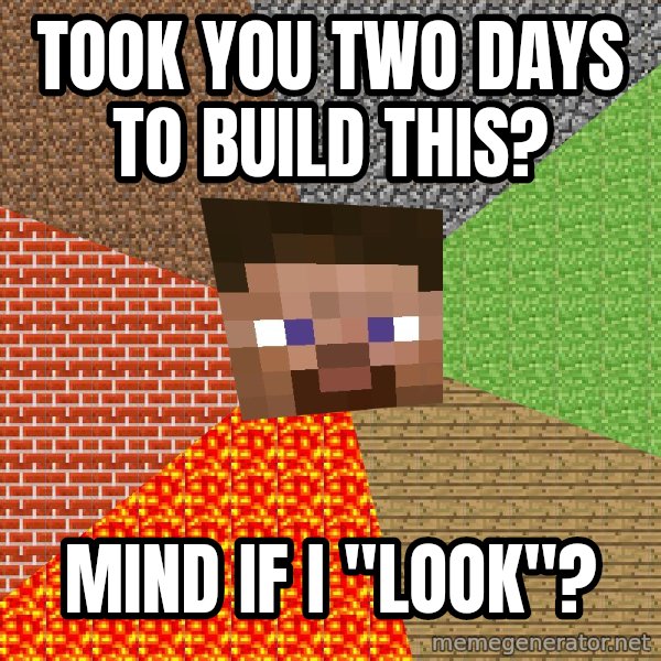 Minecraft Guy meme: Took you two days to build this? / mind if i "look"?