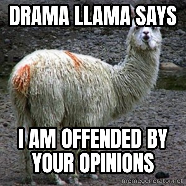 Drama Llama meme: Drama llama says / i am offended by your opinions