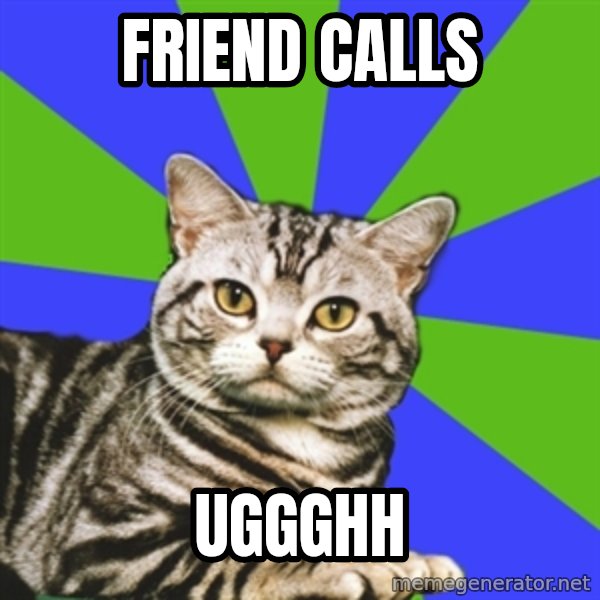 Introvert Cat meme: friend calls / UggGHH