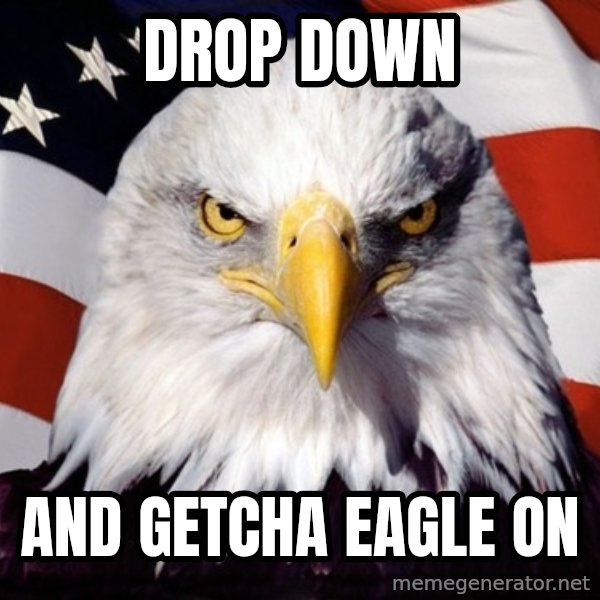 American Pride Eagle meme: drop down / and getcha eagle on