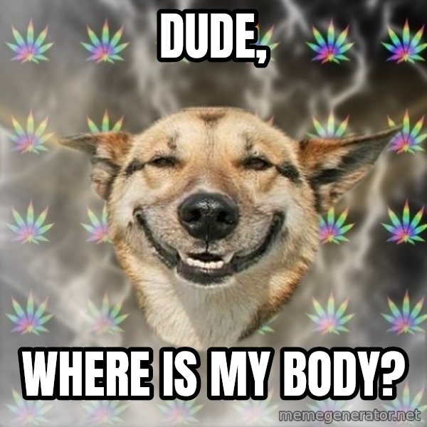 Stoner Dog meme: dude, / where is my body?