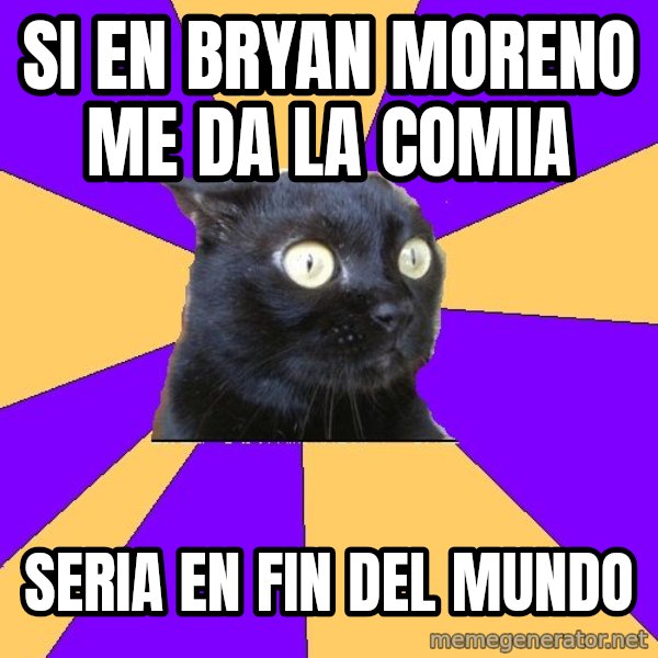 Anxiety Cat meme: si en bryan moreno me da la comia / seria en fin del mundo