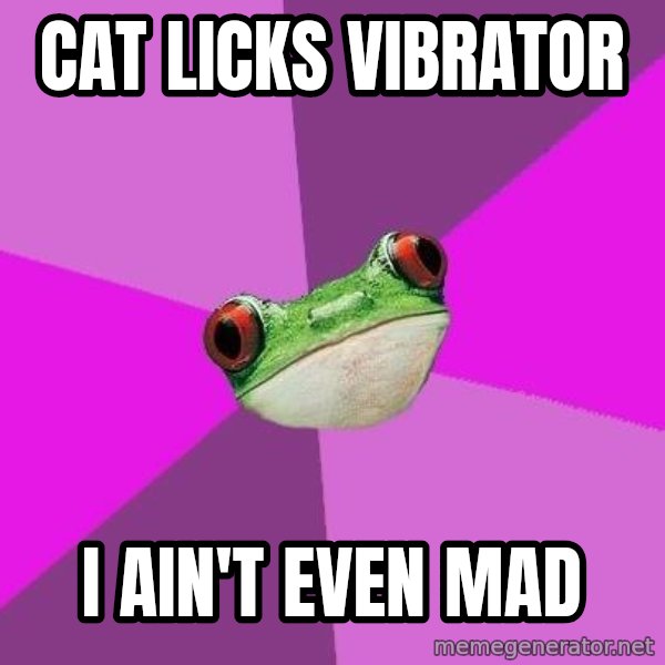 Foul Bachelorette Frog meme: Cat licks vibrator / I ain't even mad