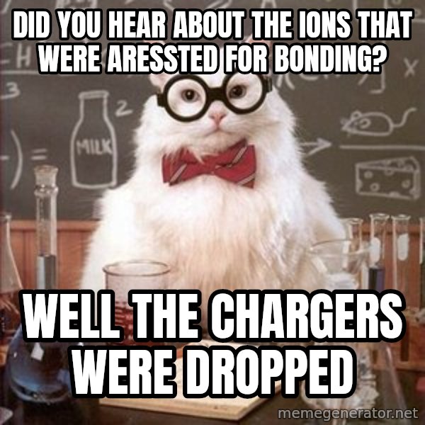 Chemistry Cat meme: did you hear about the ions that were aressted for bonding? / well the chargers were dropped