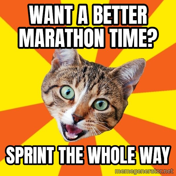 Bad Advice Cat meme: want a better marathon time? / sprint the whole way