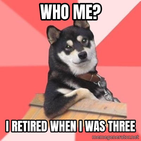 Cool Dog meme: who me? / i retired when i was three