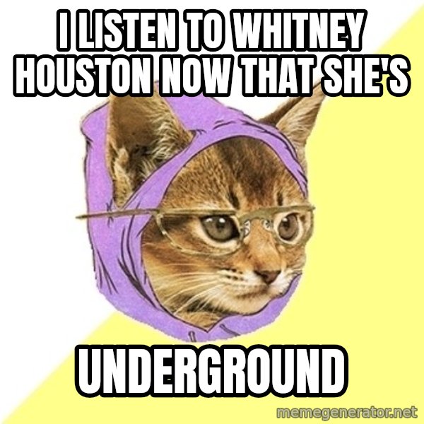 Hipster Kitty meme: i listen to whitney houston now that she's / underground