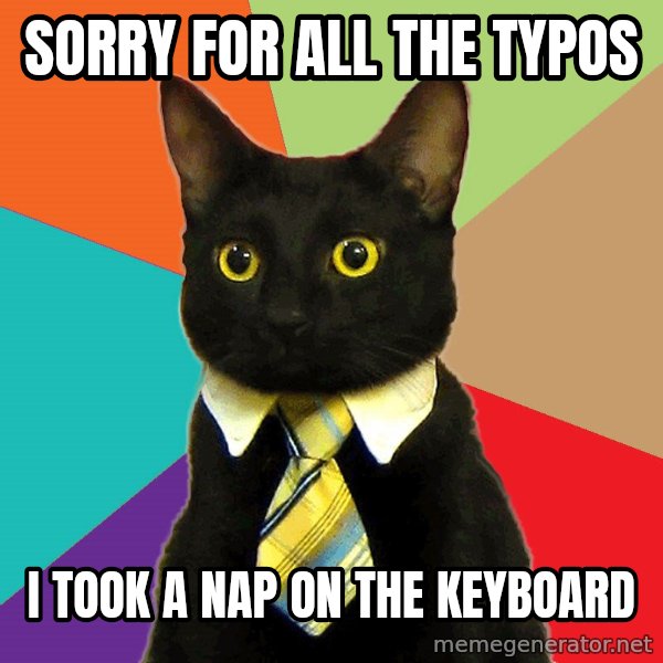 Business Cat meme: Sorry for all the typos / I took a nap on the keyboard