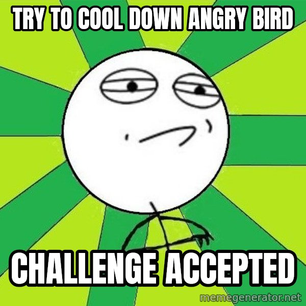 Challenge Accepted 2 meme: try to cool down angry bird / challenge accepted