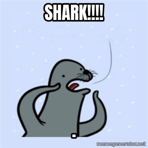 gay seal meme: Shark!!!! / .