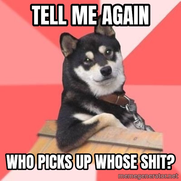 Cool Dog meme: tell me again / who picks up whose shit?