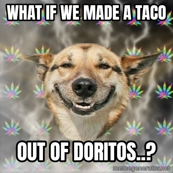 Stoner Dog meme: what if we made a taco / out of doritos..?