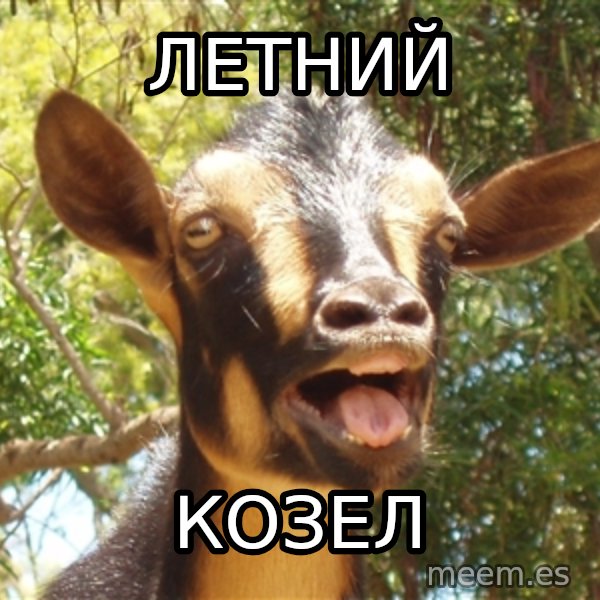 Illogical Goat meme: ЛЕТНий / КОЗЕЛ