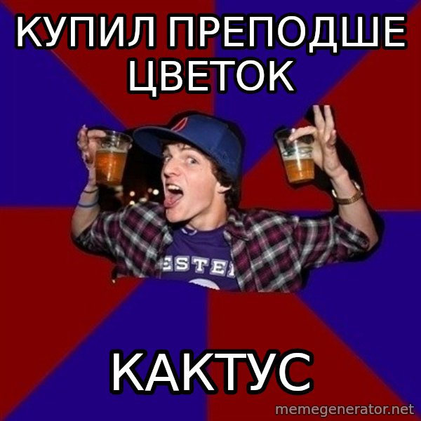 Sunny Student meme: купил преподше      цветок / кактус